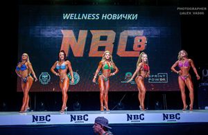 WELLNESS НОВИЧКИ